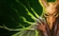 gabrieltheflyter's avatar