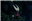 __ABSOLUTEDRAGONFIRE__'s avatar