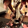 DragonElm88's avatar