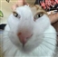 Jokabote55660's avatar
