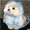 possiblyek's avatar