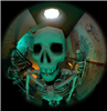 six_possums's avatar