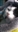 Willowcat_76's avatar