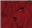 btrash's avatar