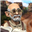 Fosco_Toadfoot's avatar