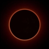 MoonWatcher19's avatar