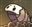 MoonWatcher19's avatar