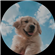 AmethystZD's avatar