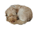 Leuker2's avatar