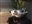 DannysShampoo's avatar