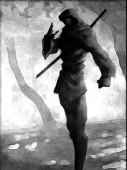 Ninja Image