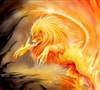 Leoincendia's avatar