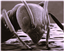 RosenCrankz's avatar