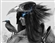 Conn_Eremon's avatar