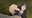 Trenton_T20's avatar
