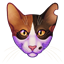 TheCalicoTabby's avatar