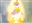 Nutty_Noah's avatar