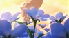 Jane_math's avatar