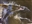 Merlin81's avatar