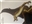 Merlin81's avatar