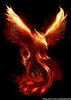 Shadowblade's avatar