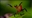 Keltic1701's avatar