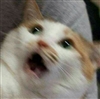 Samsquantchz's avatar