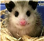 Lucky_Laddy's avatar