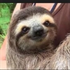 SlothWhisperer13's avatar