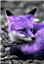 Jammi_jamerson's avatar