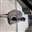 neonkbfalcon1's avatar