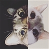 KrisV's avatar
