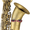 TheBariGuy's avatar