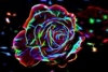 Blazing_Rose's avatar