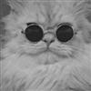 PodMonkey's avatar