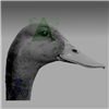 Unixis's avatar