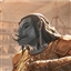 Dorraj_The_Mighty's avatar
