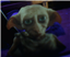OmiRedfox's avatar