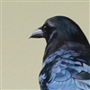 7inspace's avatar