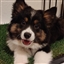 Aubrey_ASC's avatar