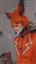 SinKostra's avatar