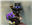 PokeWiz's avatar