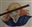 GoofyPanda6233's avatar