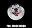 FriendlyNeighbourhoodSatan's avatar