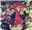 ESCANORS's avatar