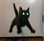 BlurryCat's avatar