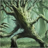 ThatAwakenedTree's avatar