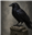 theRoguishRaven's avatar