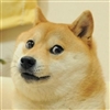 Blumpking420's avatar