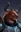 UltraMonkeyX's avatar